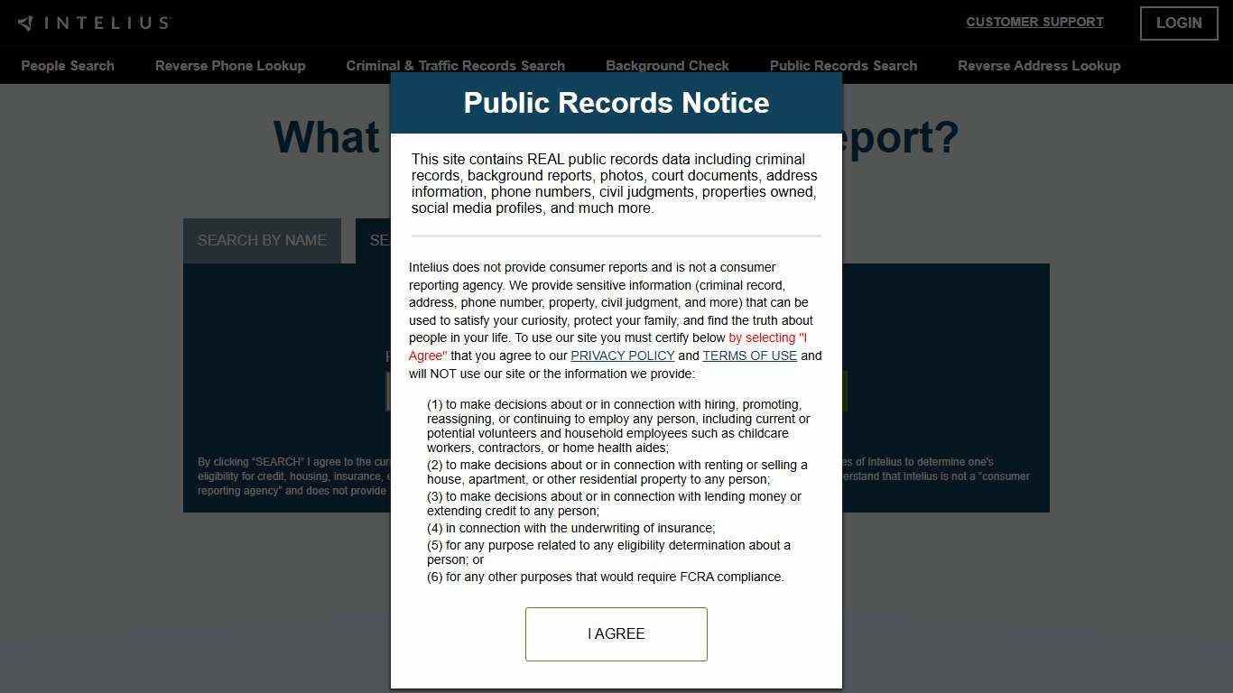 Intelius Email Reports: What You Can Find